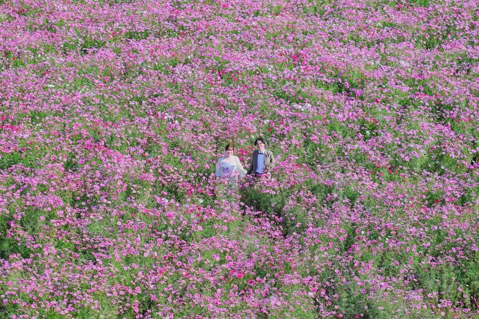 花広場ドレス前撮り