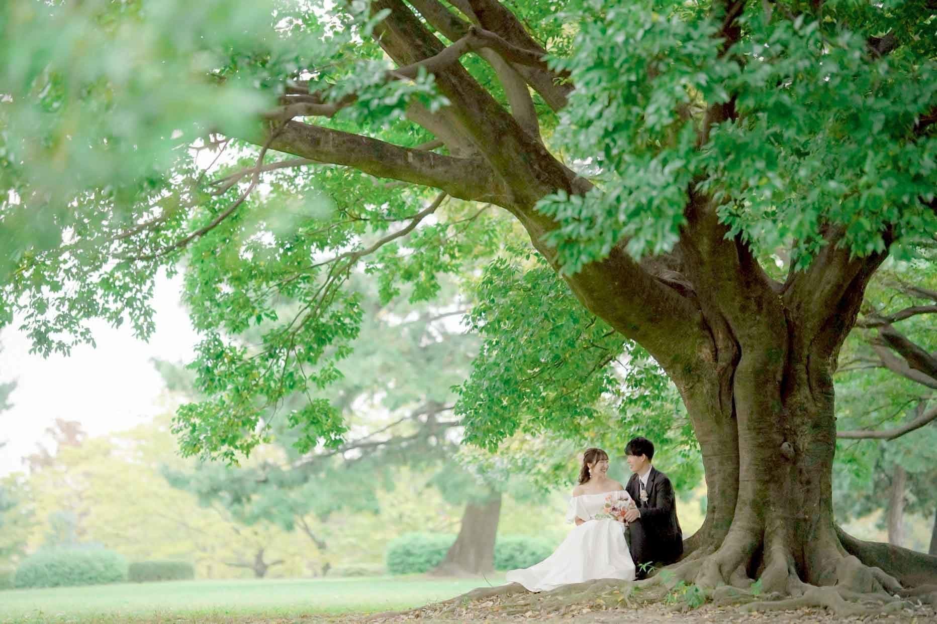 庄内緑地公園前撮り