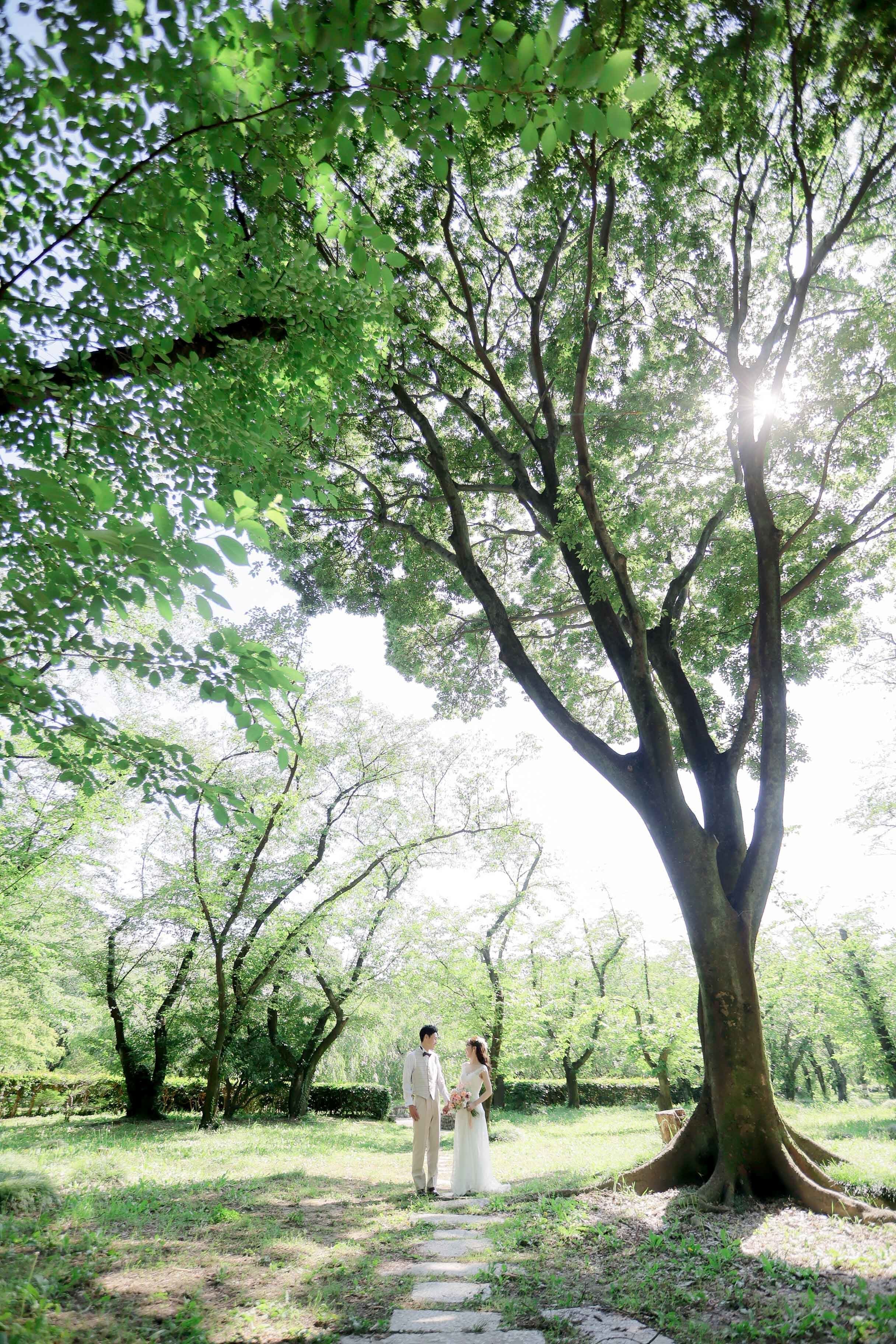 庄内緑地公園前撮り