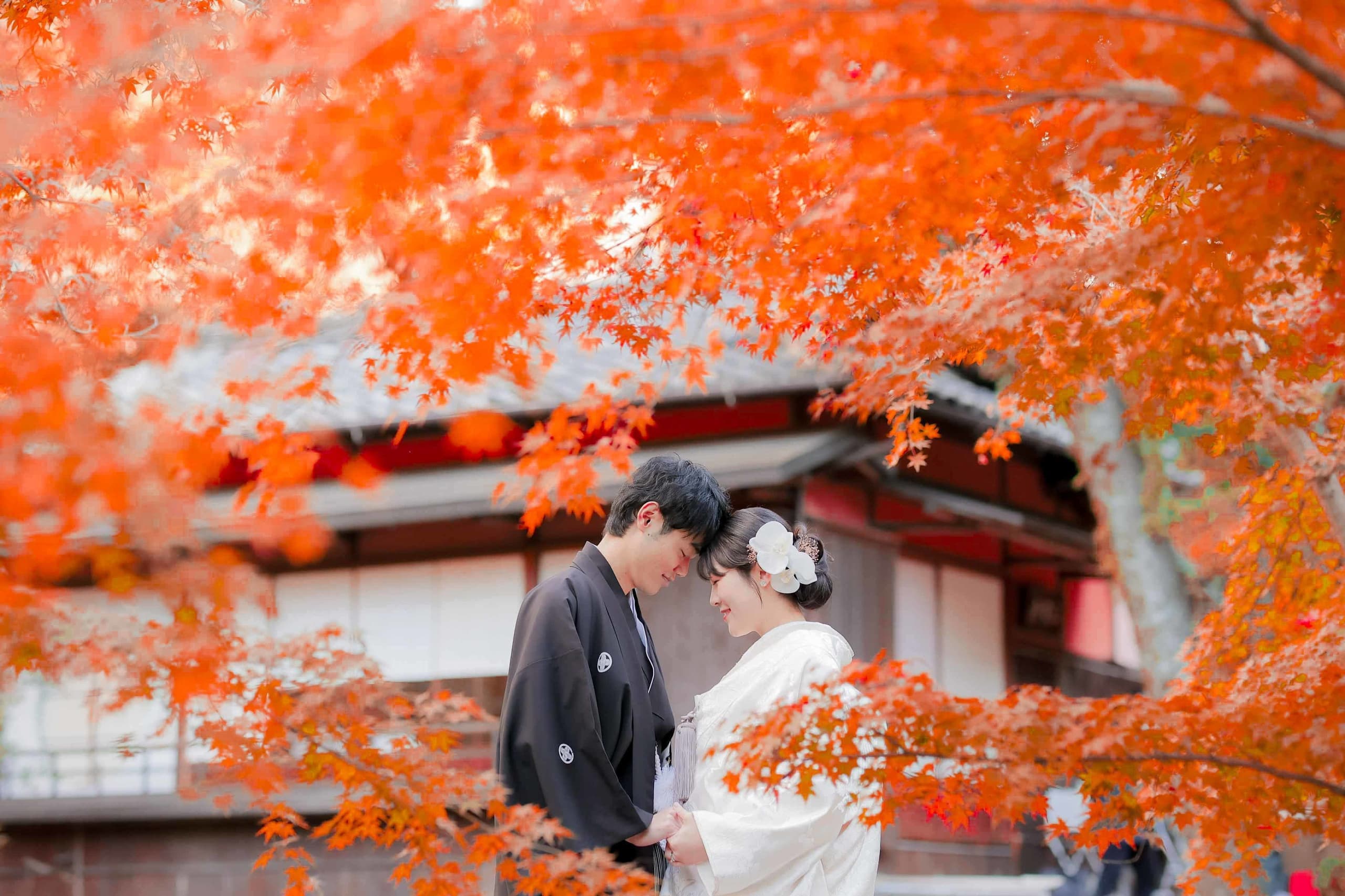 紅葉前撮りで見つめ合う新郎新婦