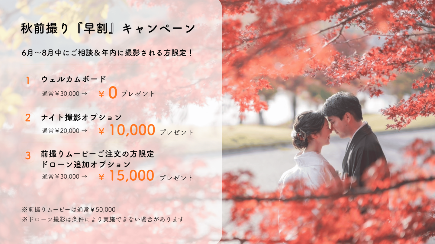 バンプデザイン秋キャンペーン