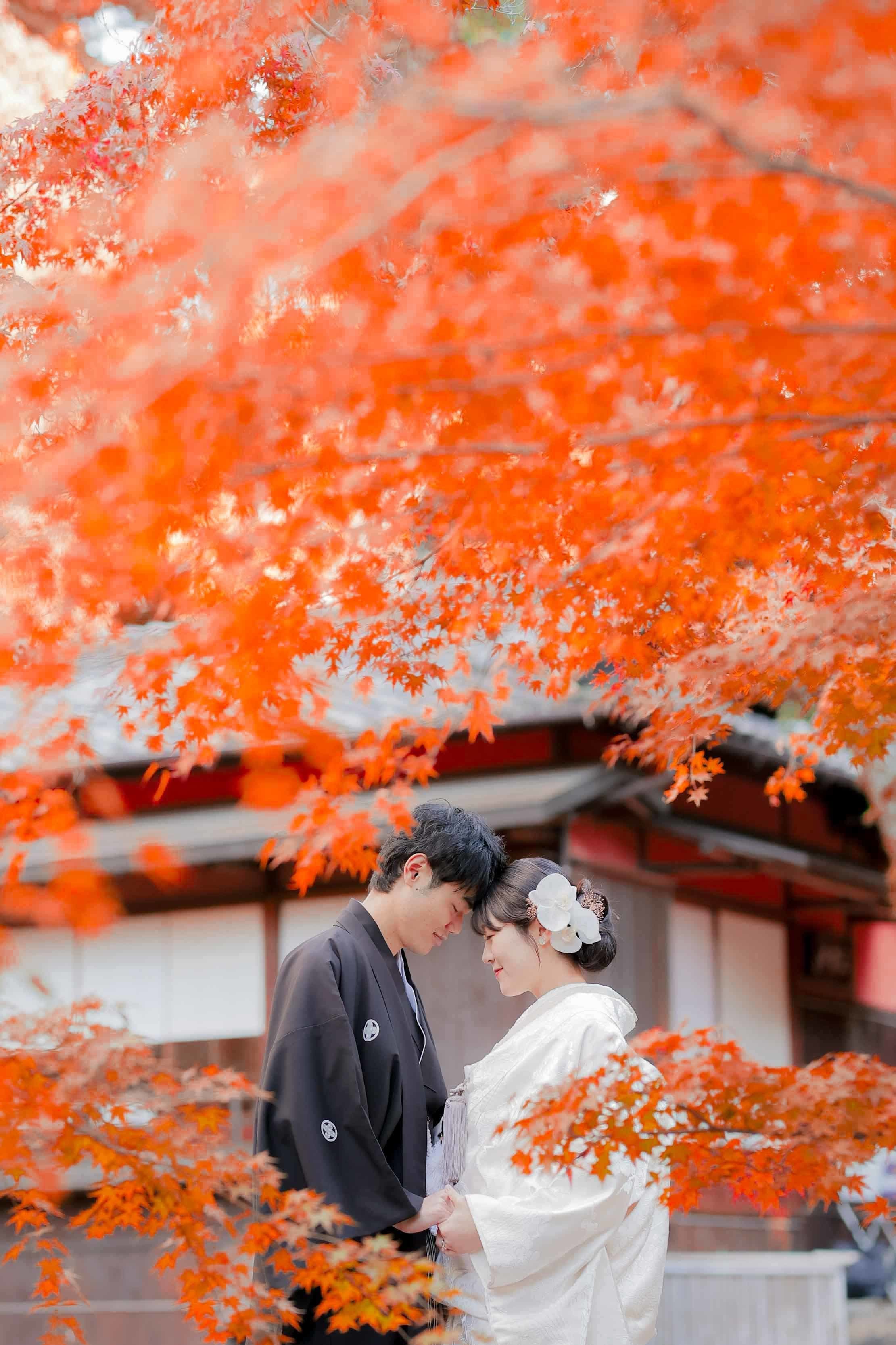 名古屋紅葉前撮りを楽しむ新郎新婦